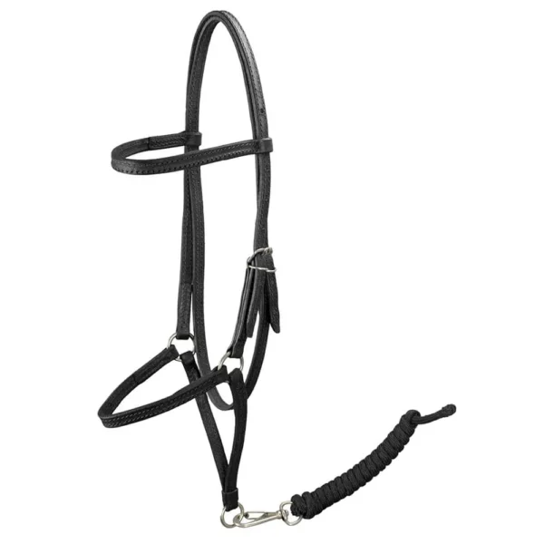 Master Presentation Halter - Black