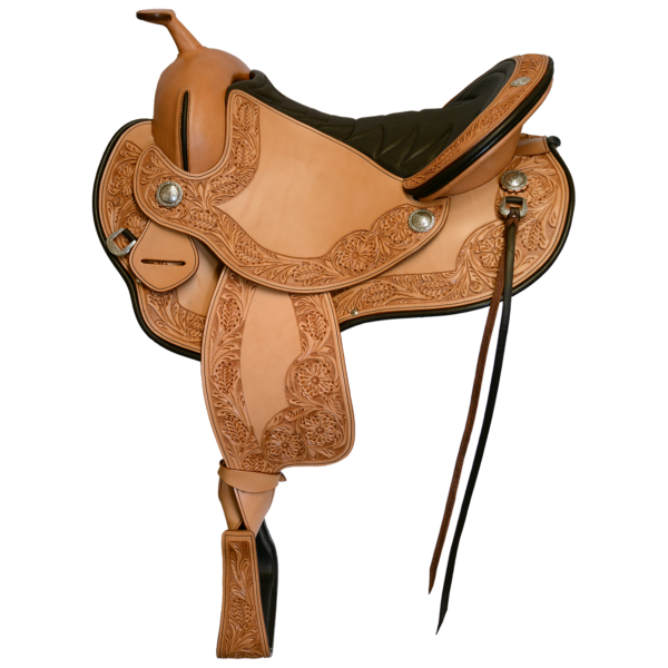 Cadence – Western Dressage