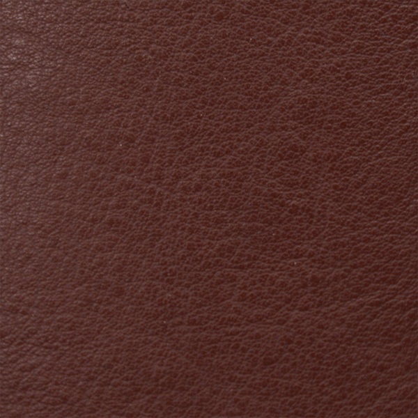 Jumping Stirrup Leathers - Image 3